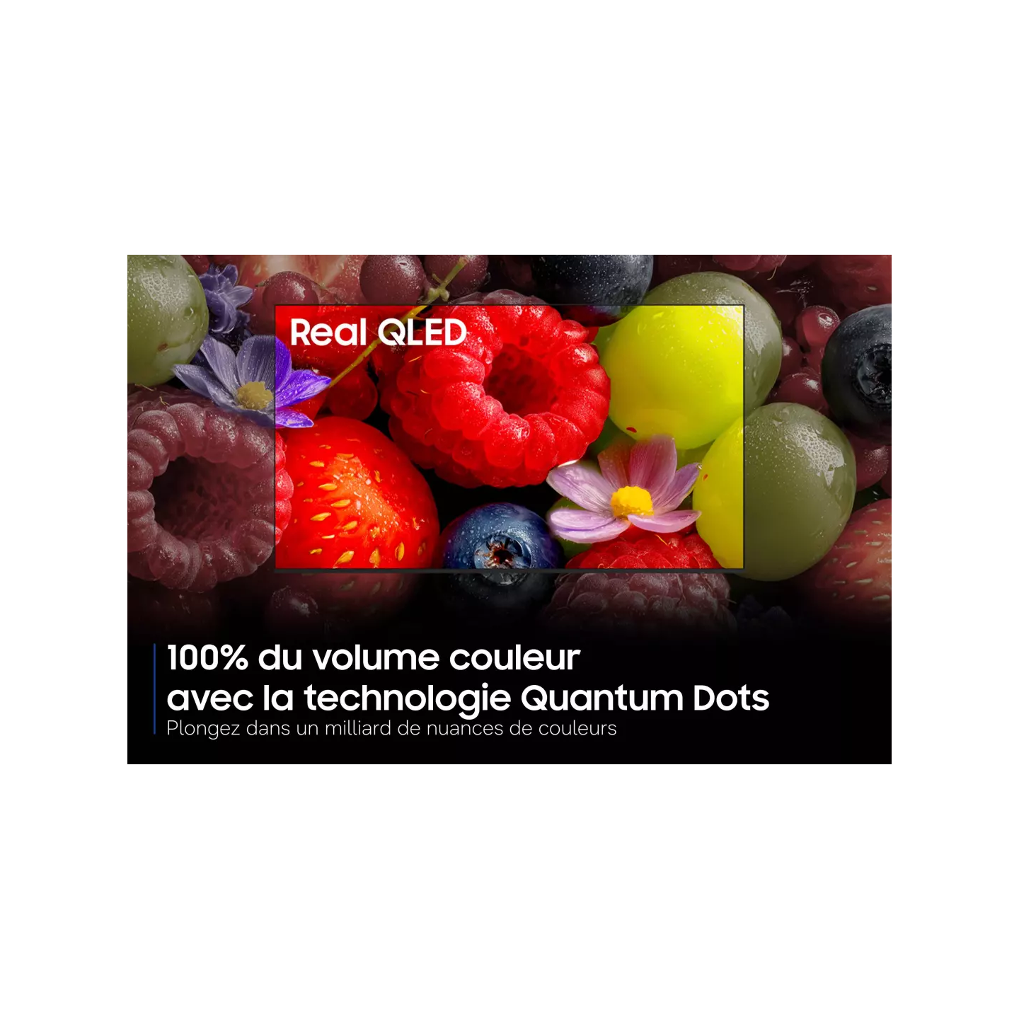 TV QLED Samsung TQ32Q5F 32" Full HD Vision AI | Nimestore