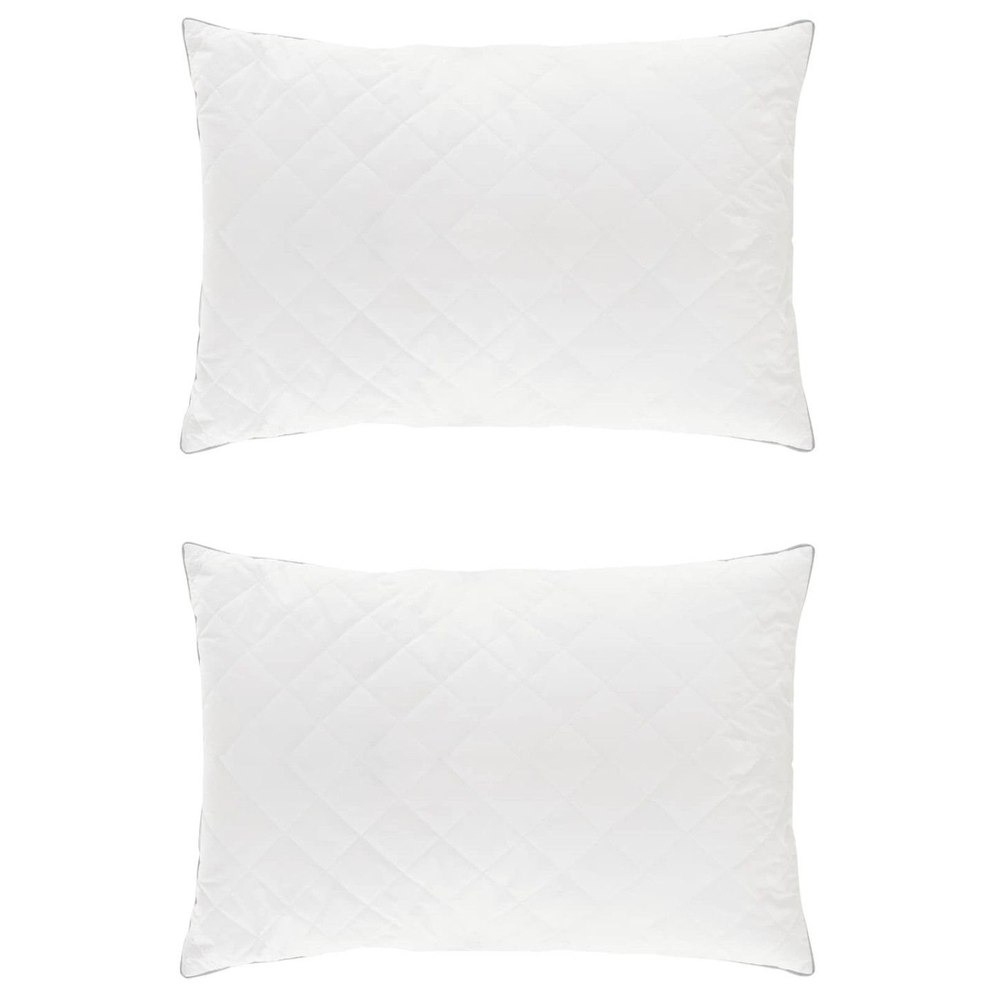 Oreiller FULDA 2 pc 40 x 80 cm 100% duvet d'oie et plumes Blanc