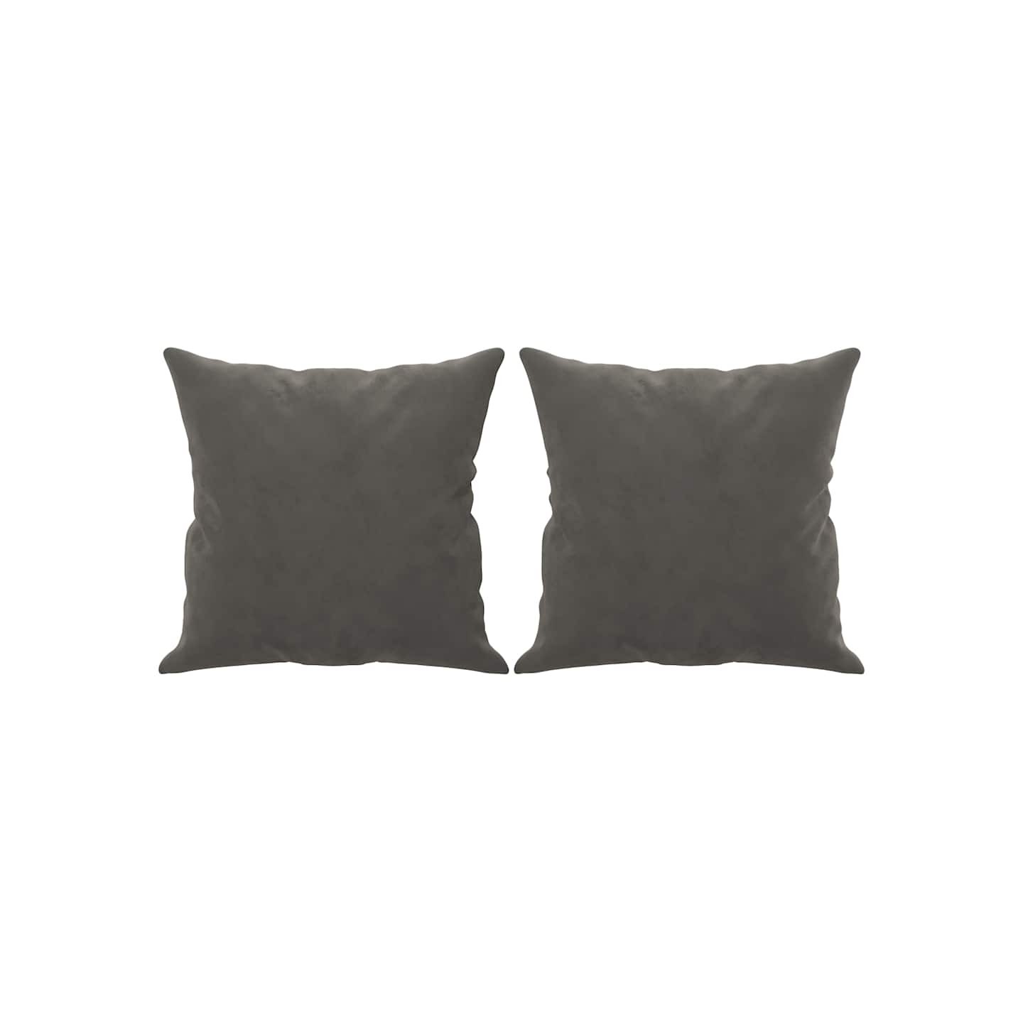 Coussins décoratifs lot de 2 Gris foncé 40x40 cm Velours