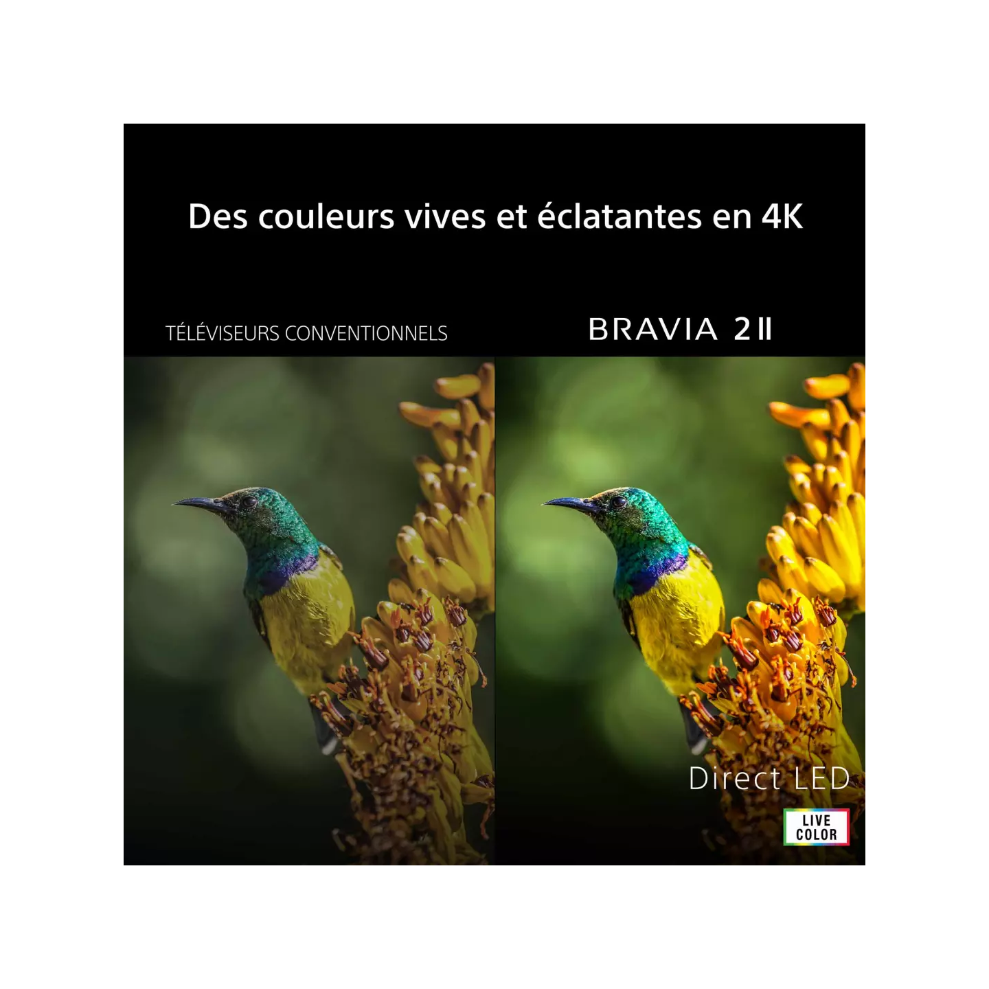 TV LED Sony BRAVIA 2 II K50S25M2PB 50" 4K | Nimestore
