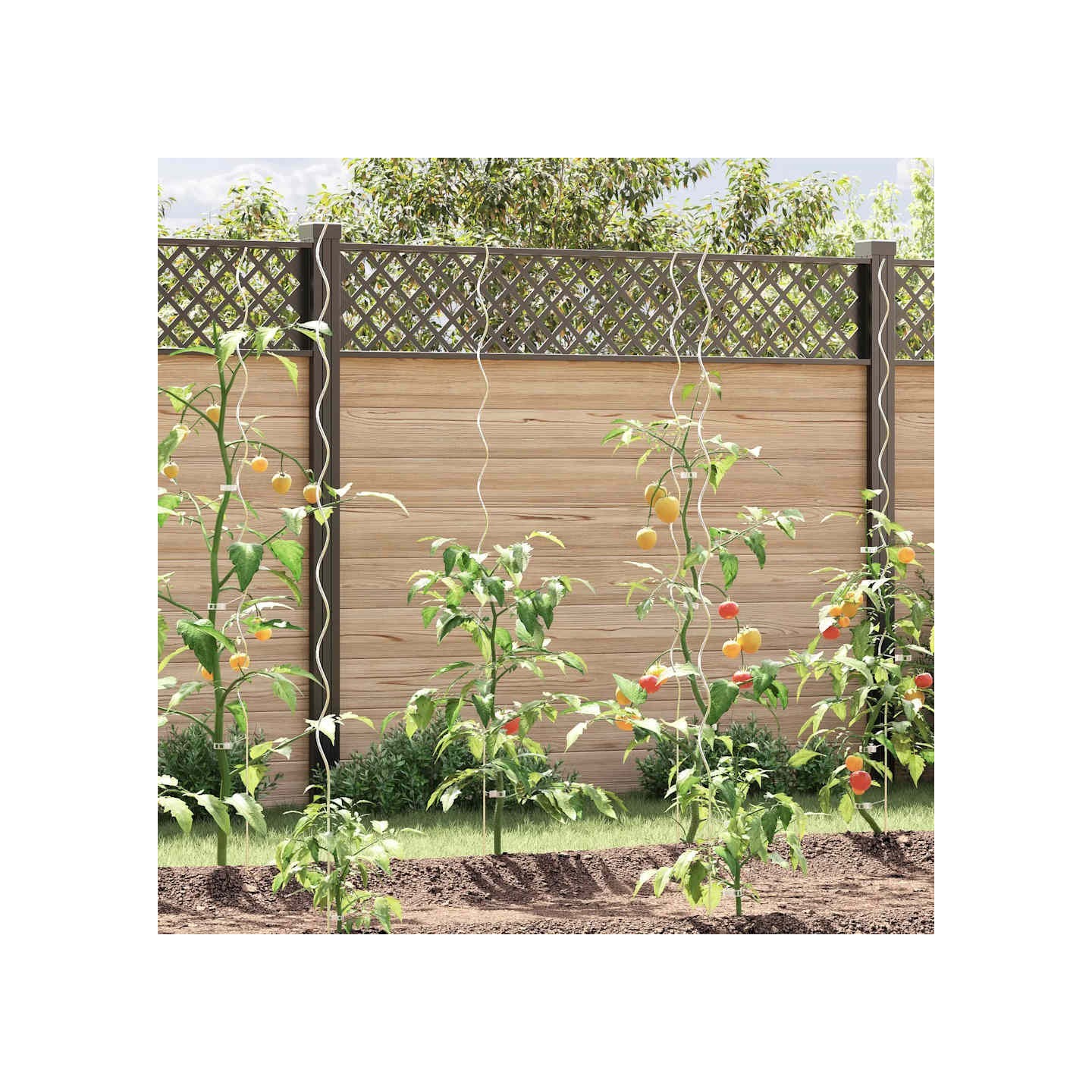 Supports de plantes en spirale 20 pcs Acier galvanisé 170 cm