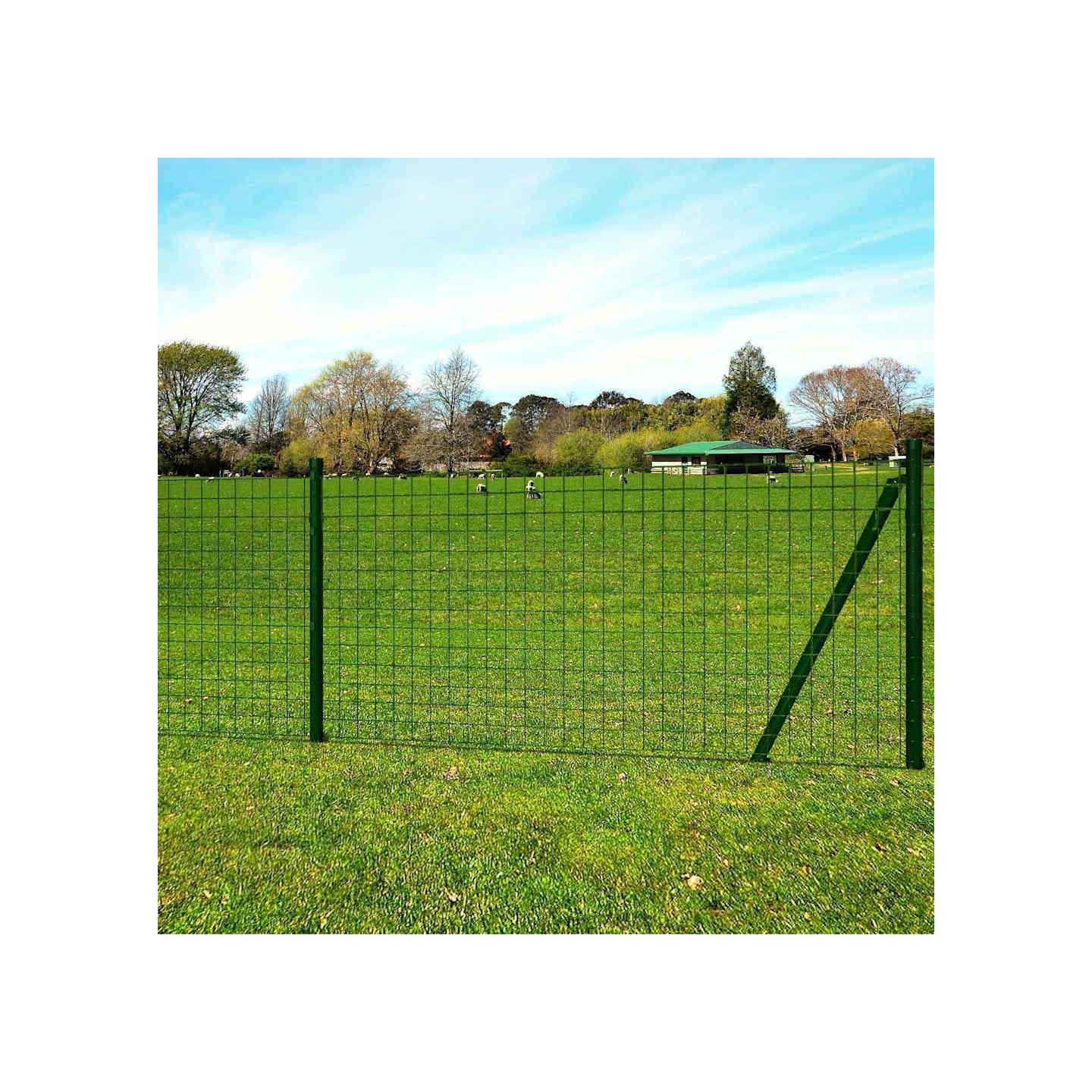 Clôture Euro Acier 25 x 1 m Vert