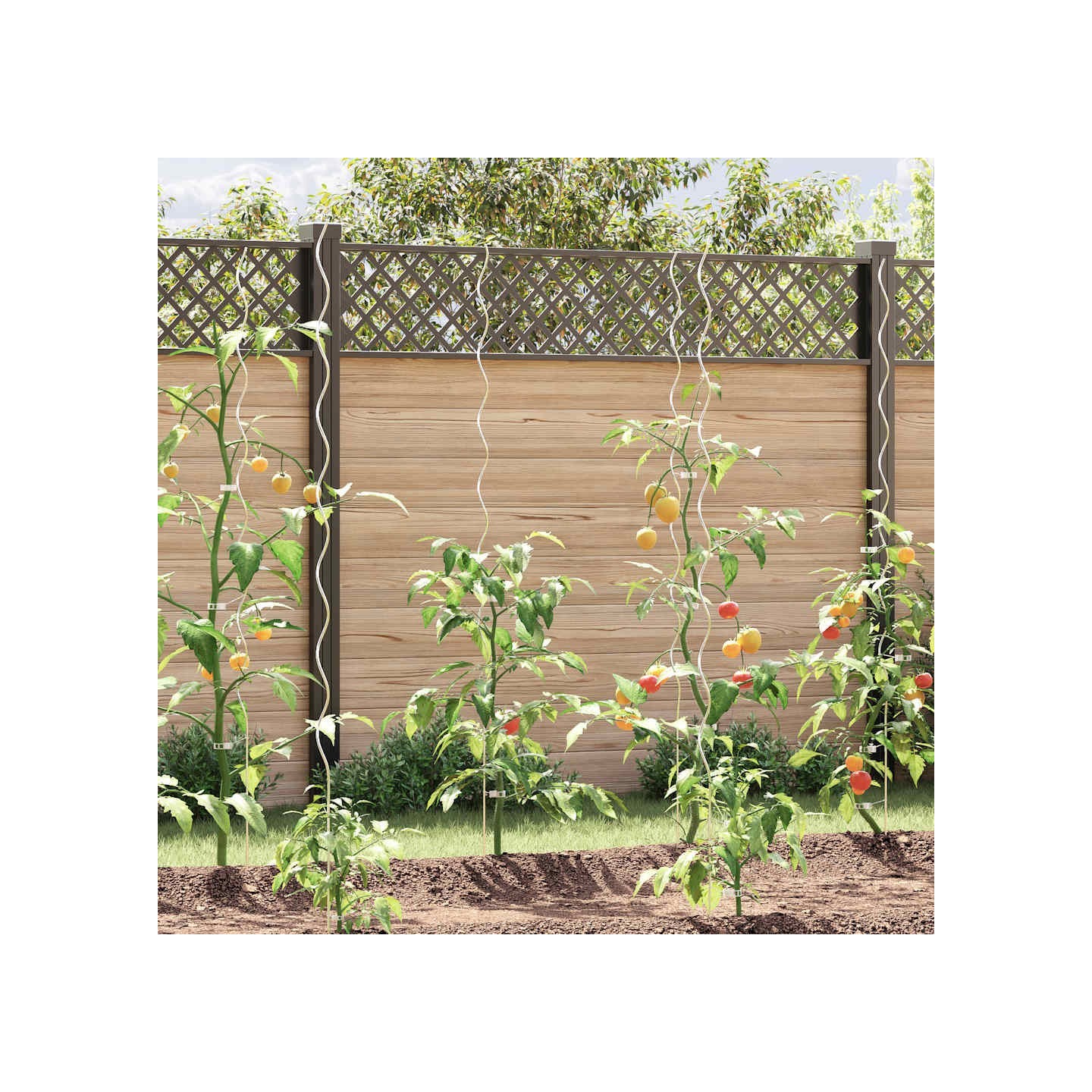 Supports de plantes en spirale 5 pcs Acier galvanisé 170 cm
