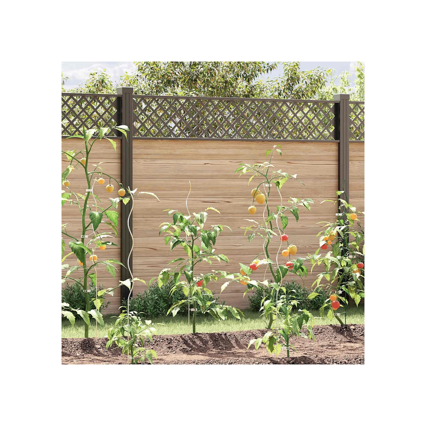 Supports de plantes en spirale 50 pcs Acier galvanisé 110 cm