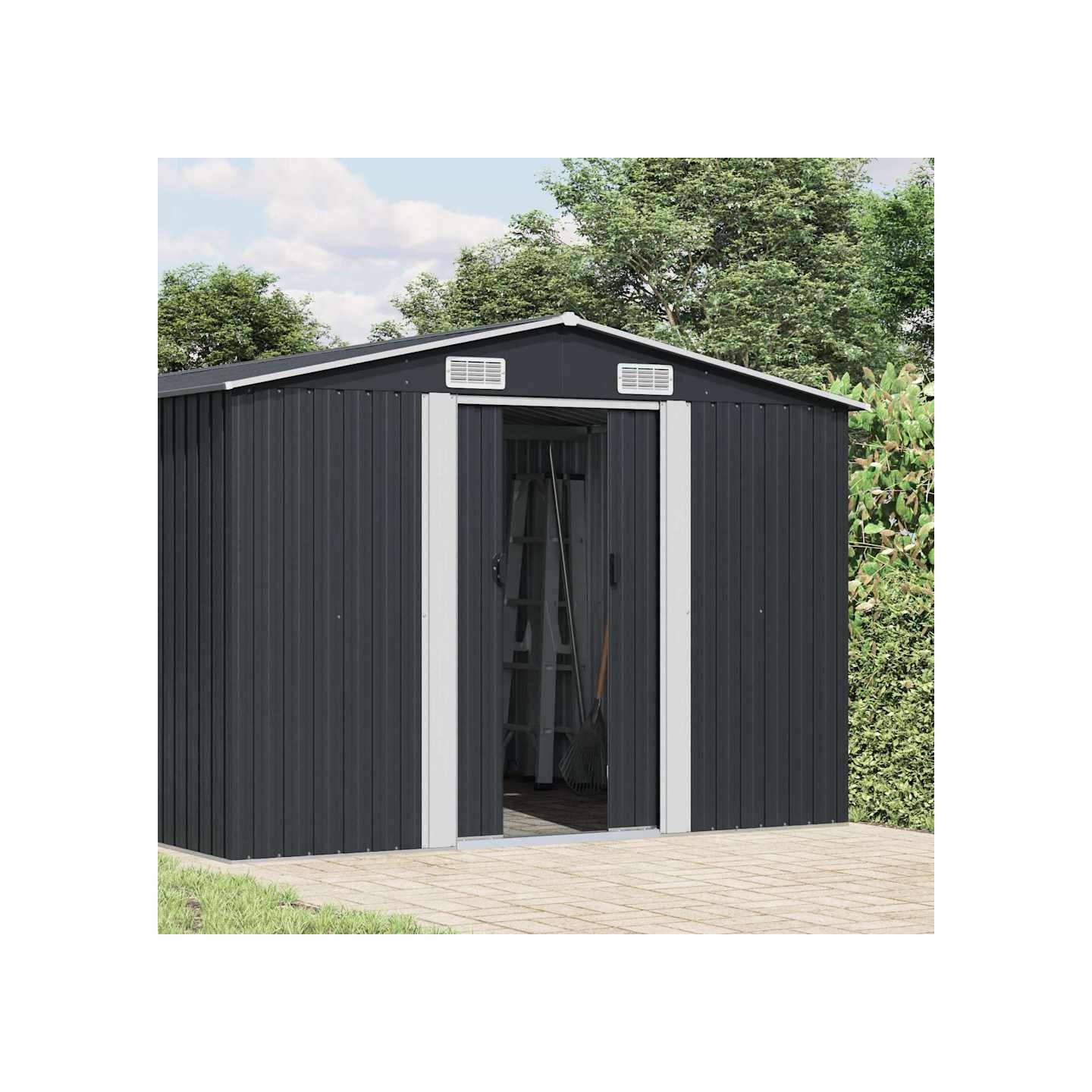Abri de jardin 257x580x181 cm Métal Anthracite