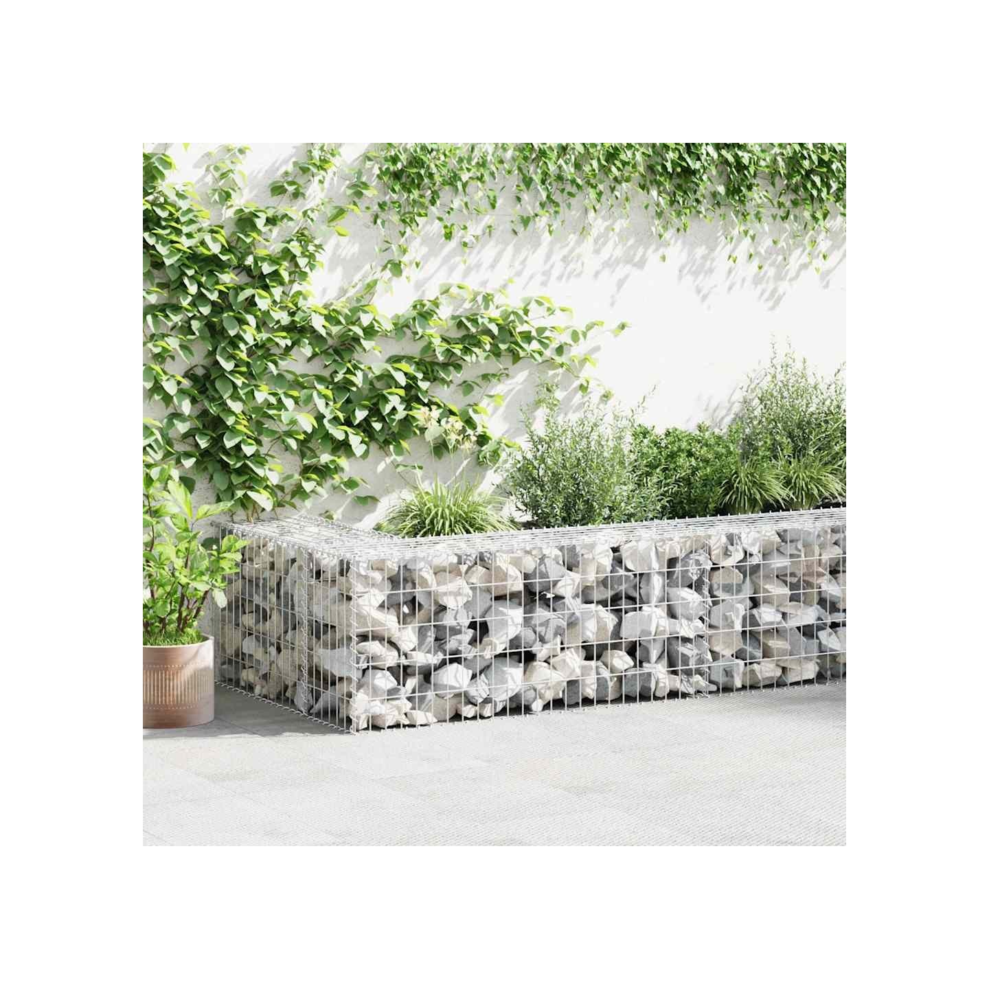 Mur à gabion avec couvercles Acier galvanisé 600x30x50 cm