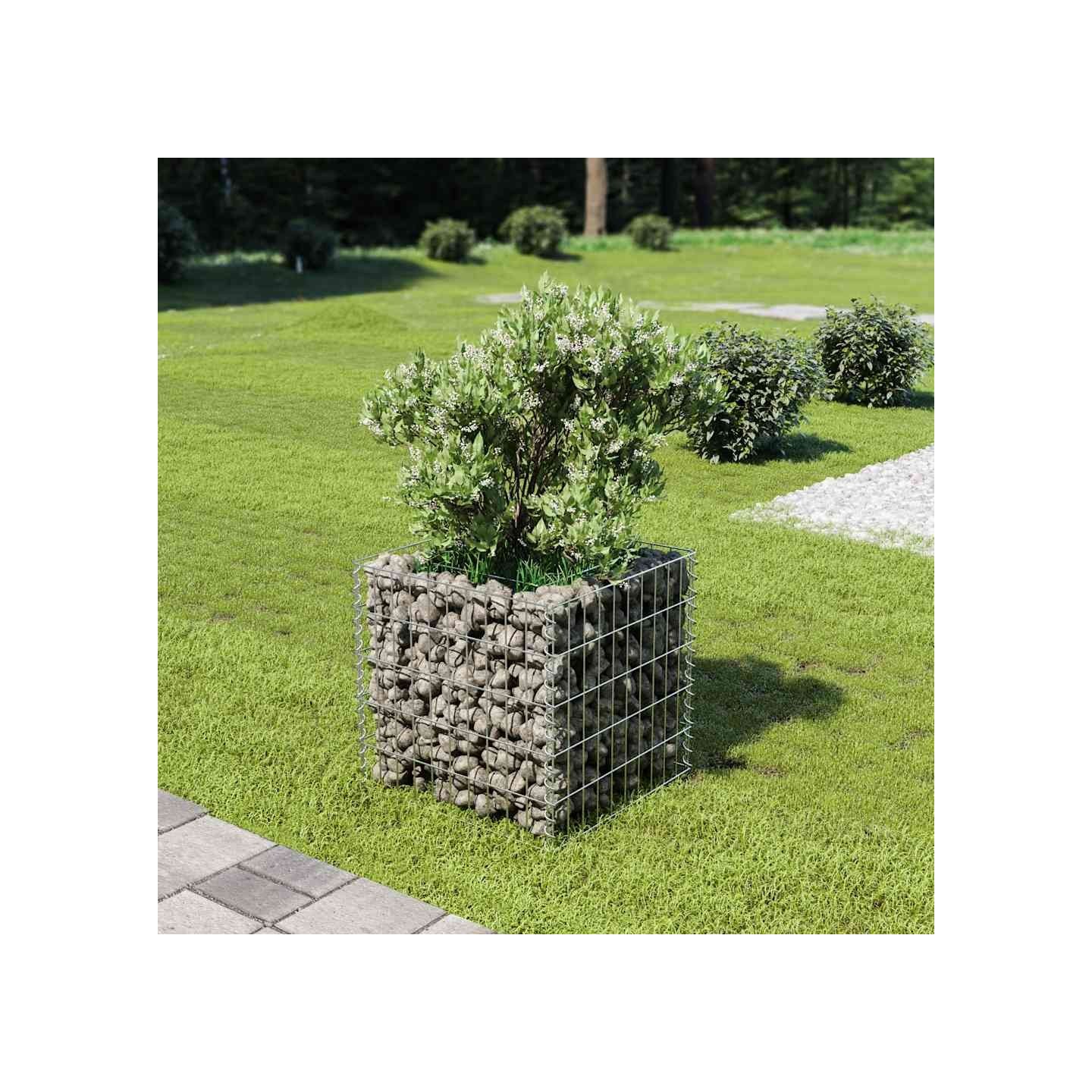 Lit surélevé à gabion Acier galvanisé 50x50x50 cm