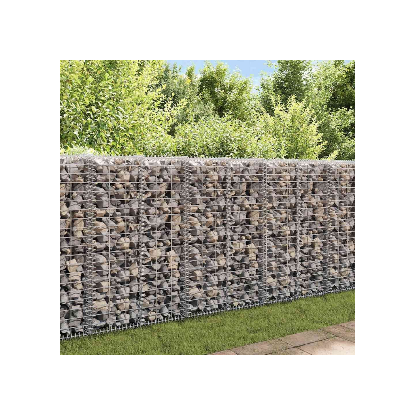 Mur à gabion avec couvercles Acier galvanisé 20x20x100 cm