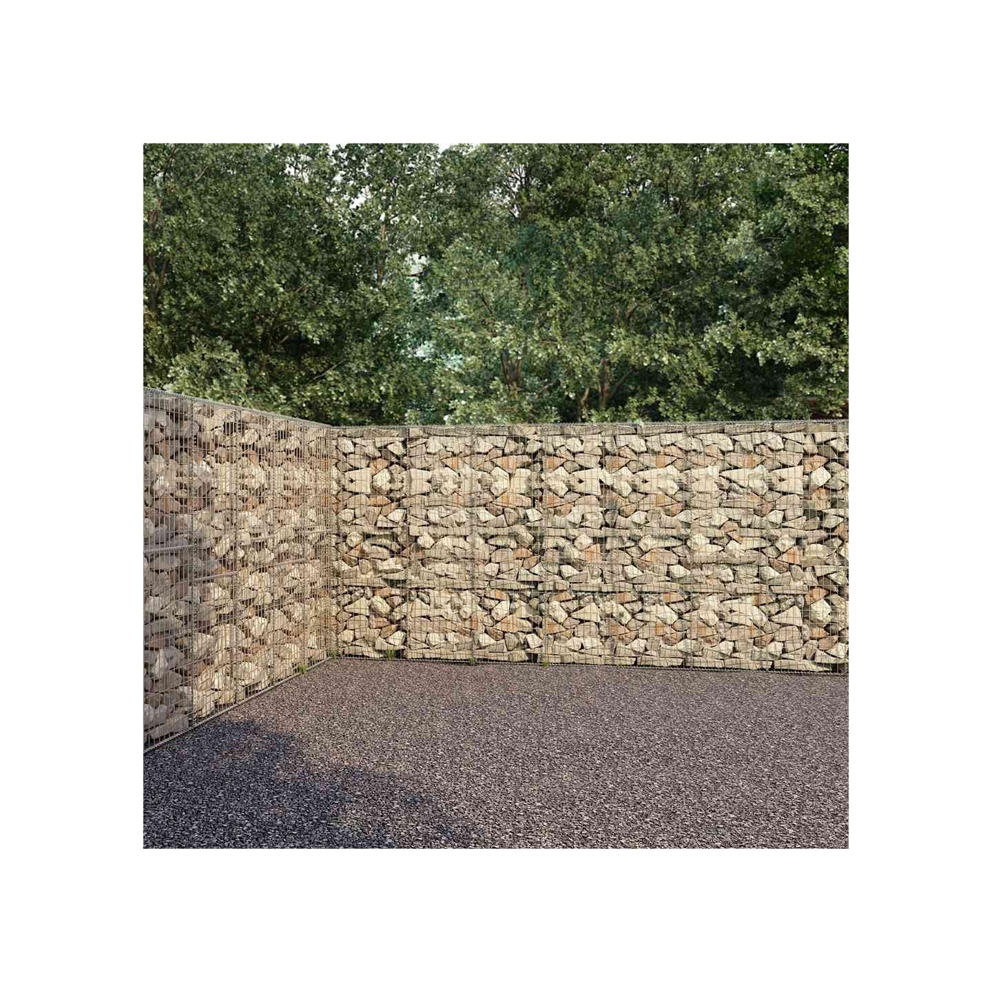 Mur à gabion avec couvercles Acier galvanisé 600x30x200 cm