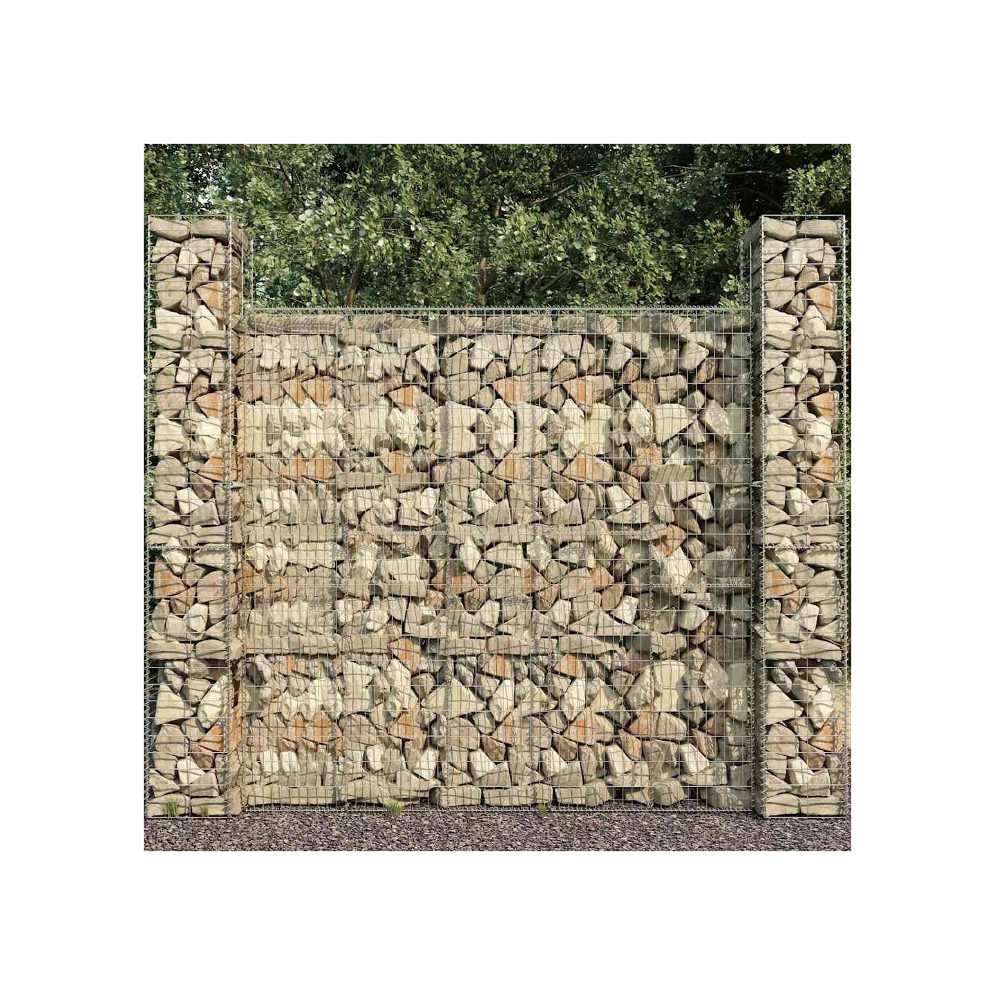 Mur en gabion avec couvercle Acier galvanisé 600 x 50 x 200 cm