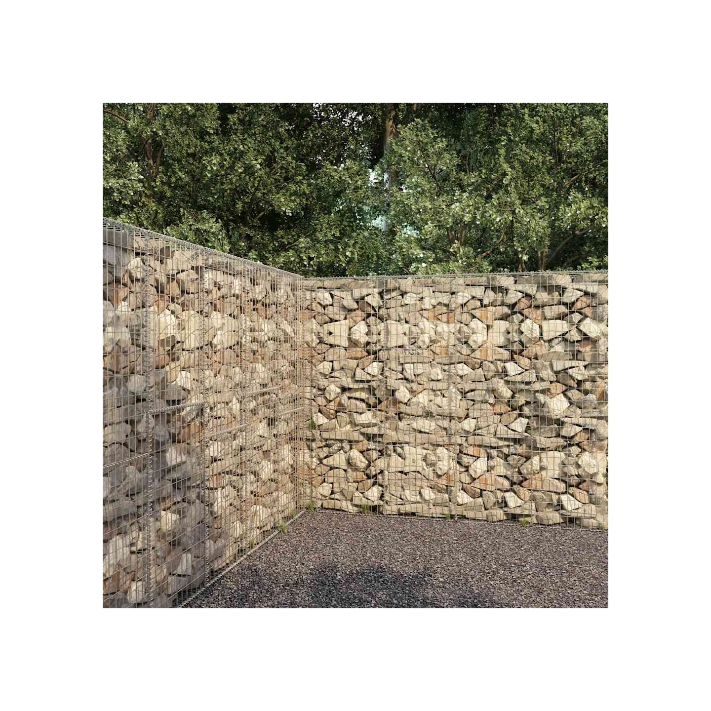 Mur en gabion avec couvercle Acier galvanisé 300 x 50 x 200 cm