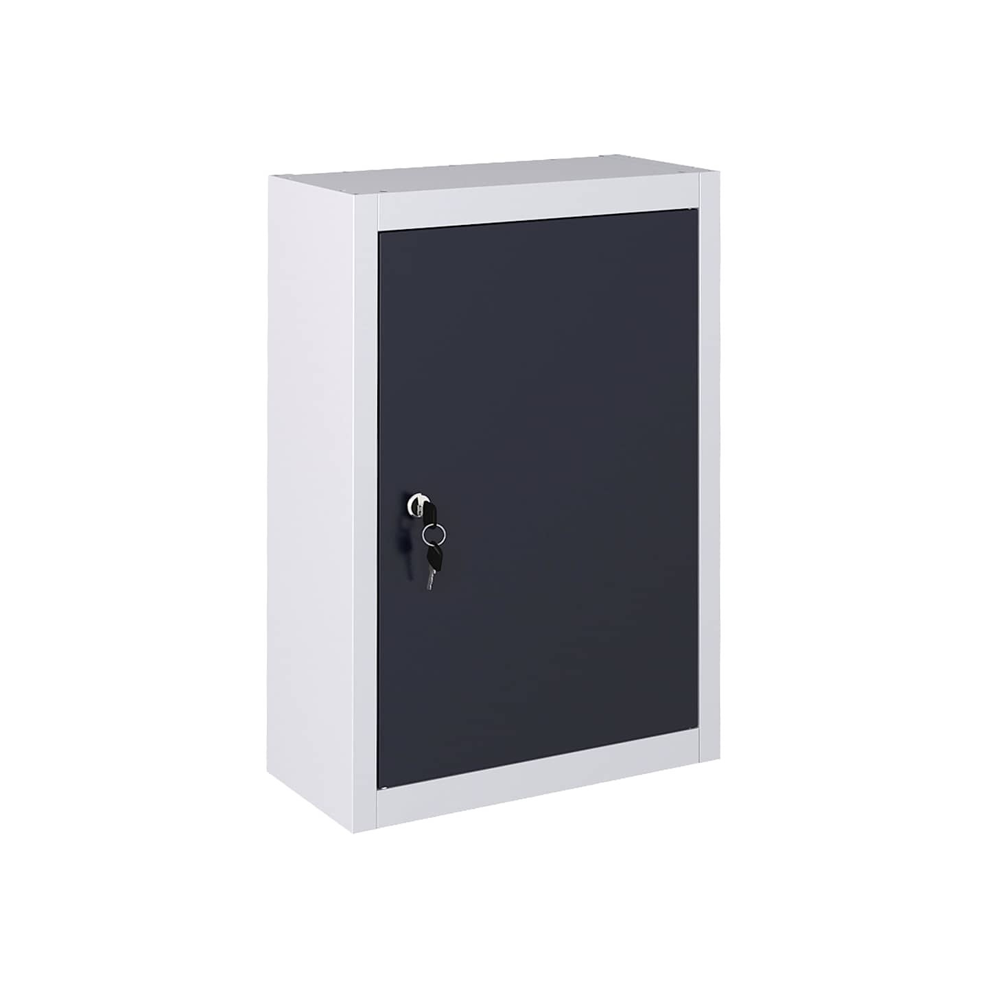 Armoire à outils murale Style Industriel Métal Gris et noir