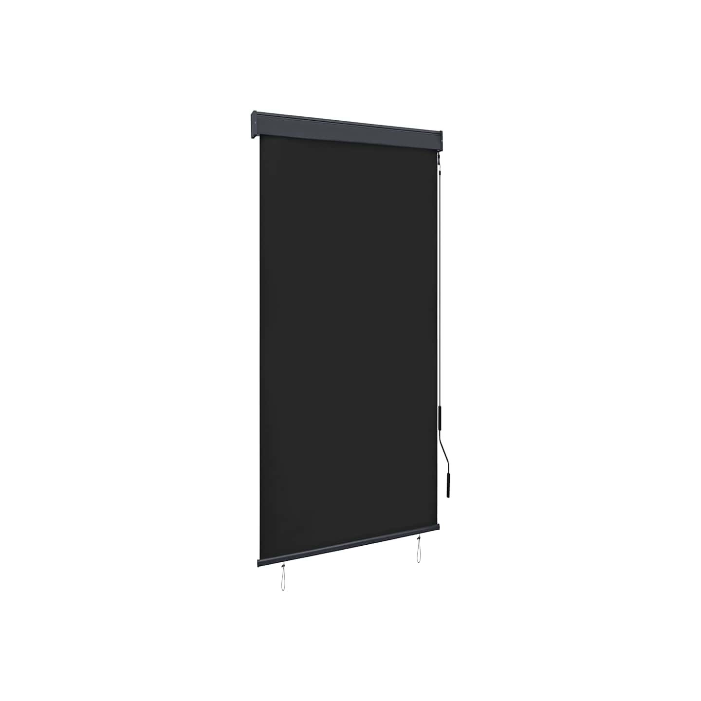 Store roulant d'extérieur 80 x 250 cm Anthracite