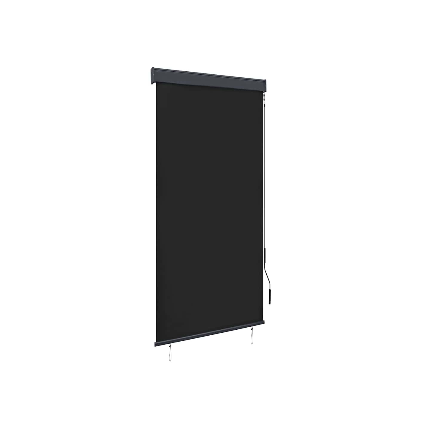 Store roulant d'extérieur 100 x 250 cm Anthracite