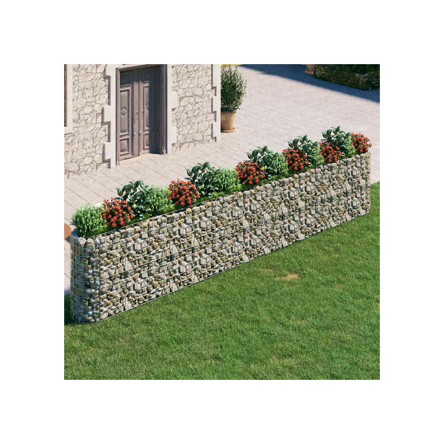 Lit surélevé à gabion Fer galvanisé 540x50x100 cm