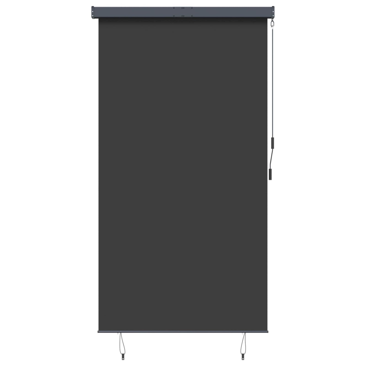 Store roulant d'extérieur 140 x 250 cm Anthracite