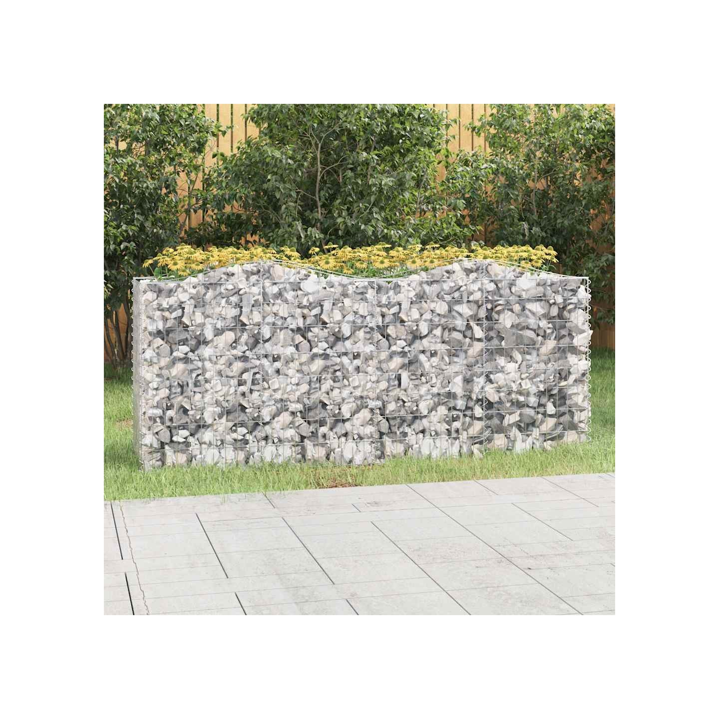 Lit surélevé à gabions arqué 200x50x100 cm Fer galvanisé