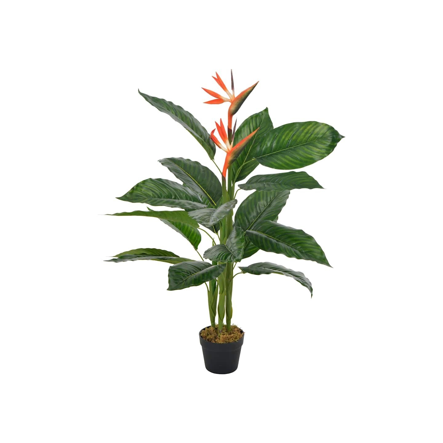 Plante artificielle Strelitzia avec pot Rouge 100 cm