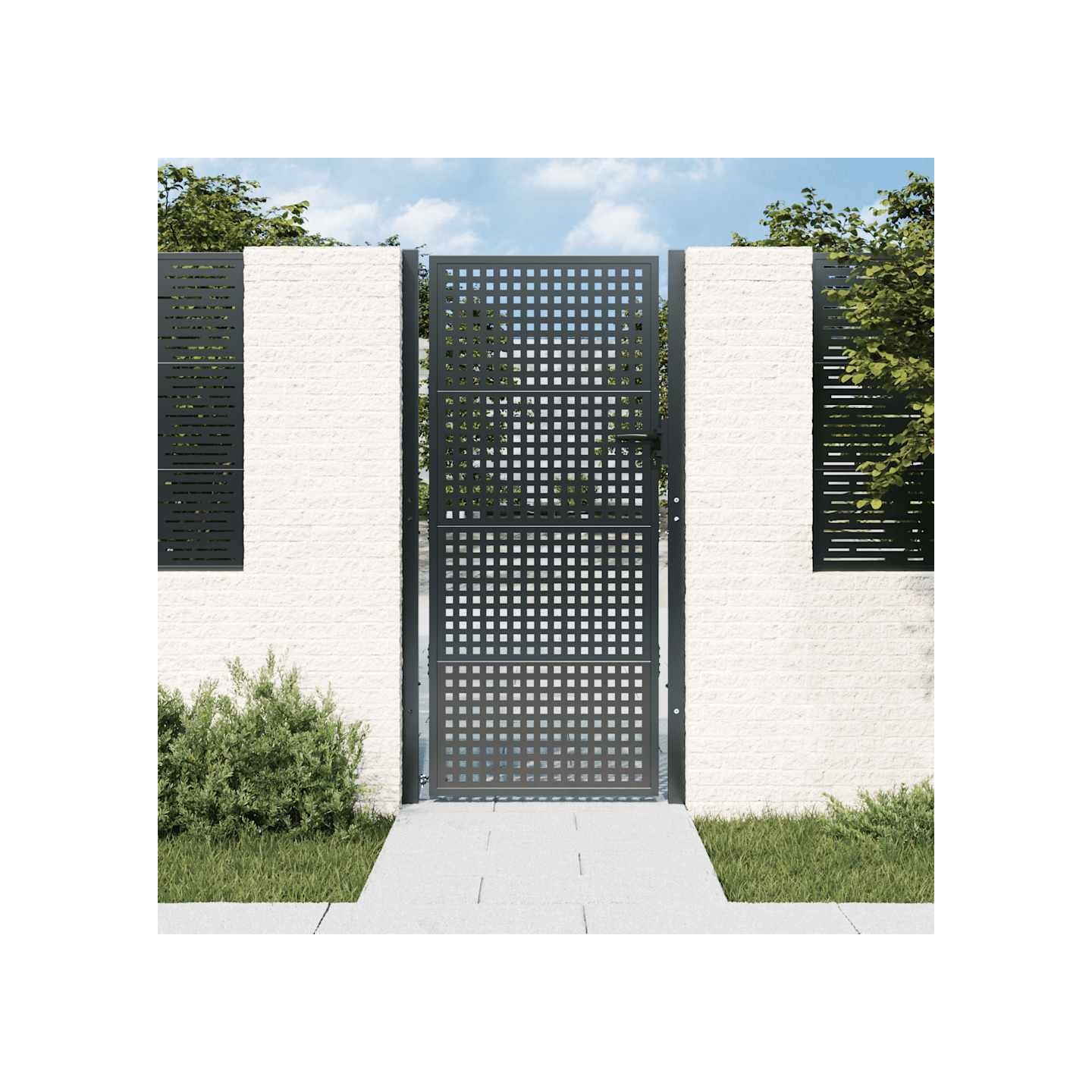 Portail de jardin Anthracite 100x200 cm Acier