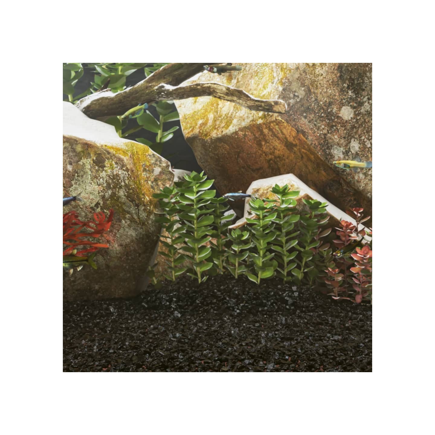 Sable pour aquarium 25 kg noir 0,2-2 mm