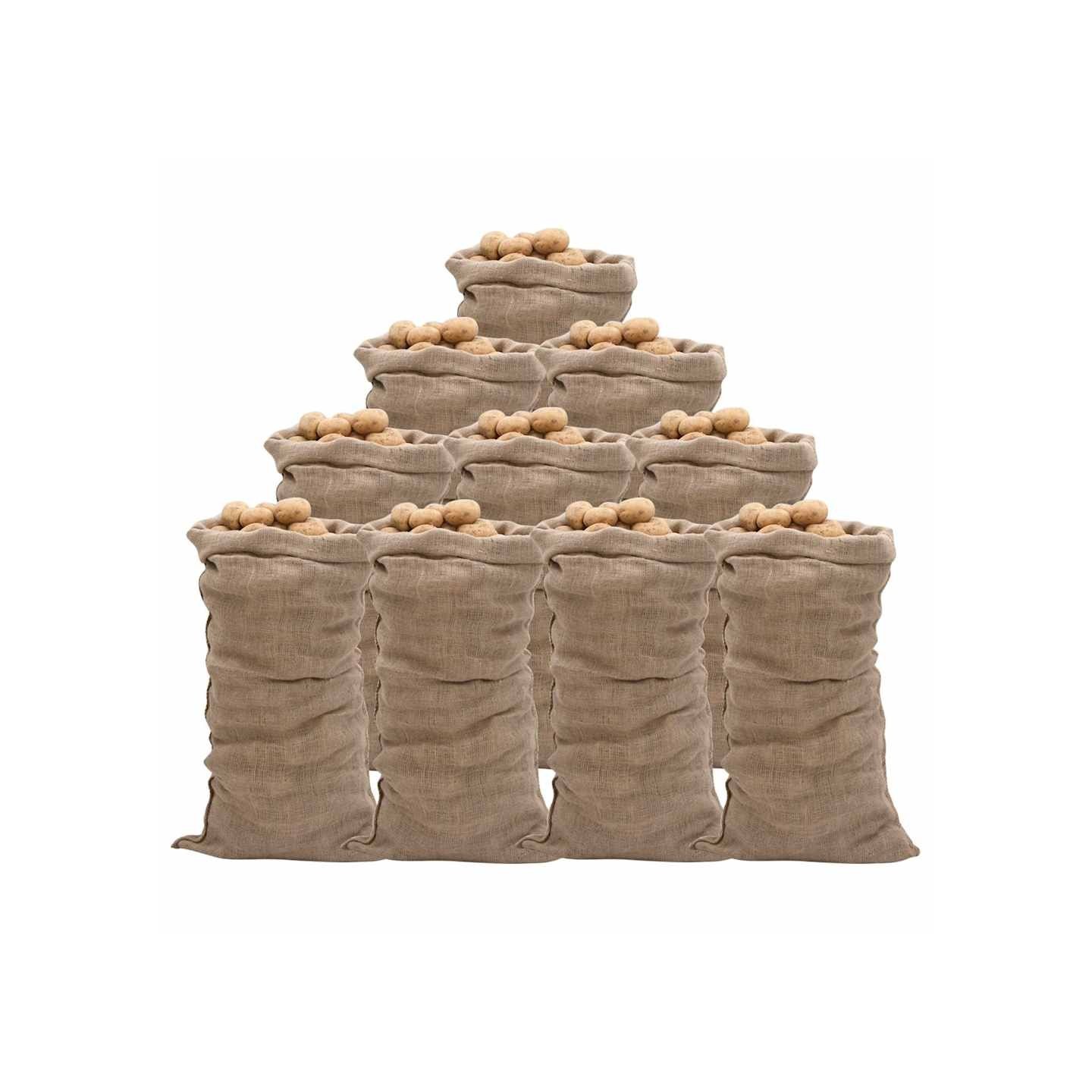Sacs en jute 10 pcs 65x135 cm 100 % jute 220 g/m²