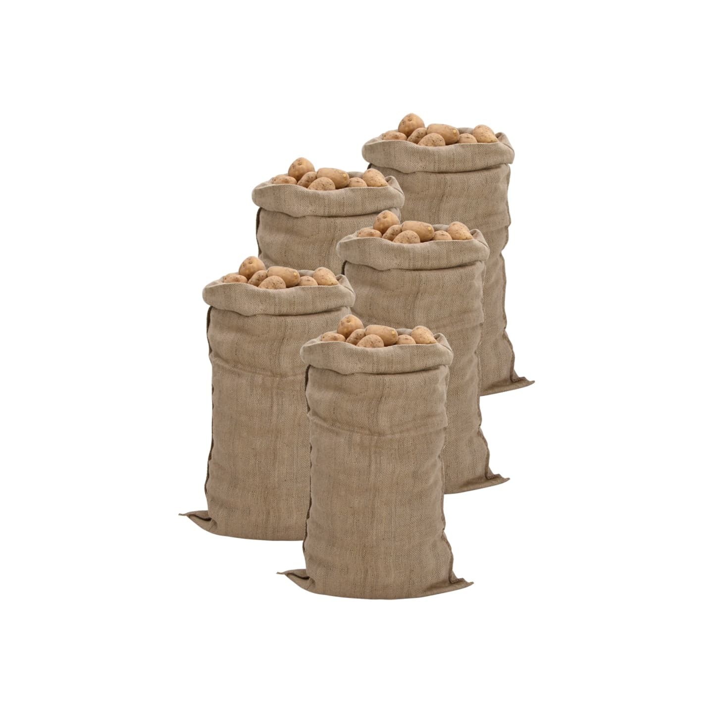 Sacs en jute 5 pcs 65x135 cm 100 % jute 340 g/m²