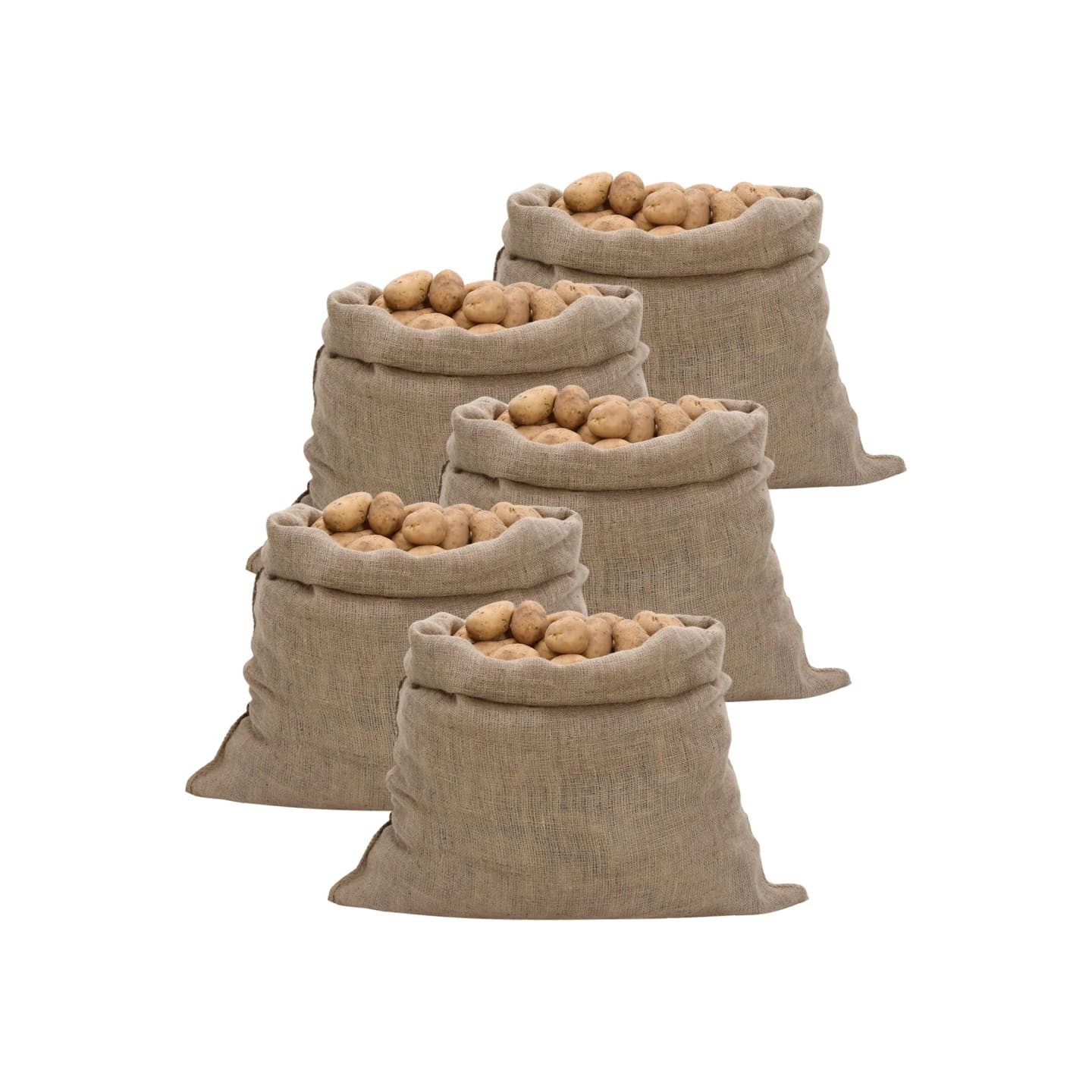 Sacs en jute 5 pièces 100 x 110 cm 100 % jute 220 g/m²