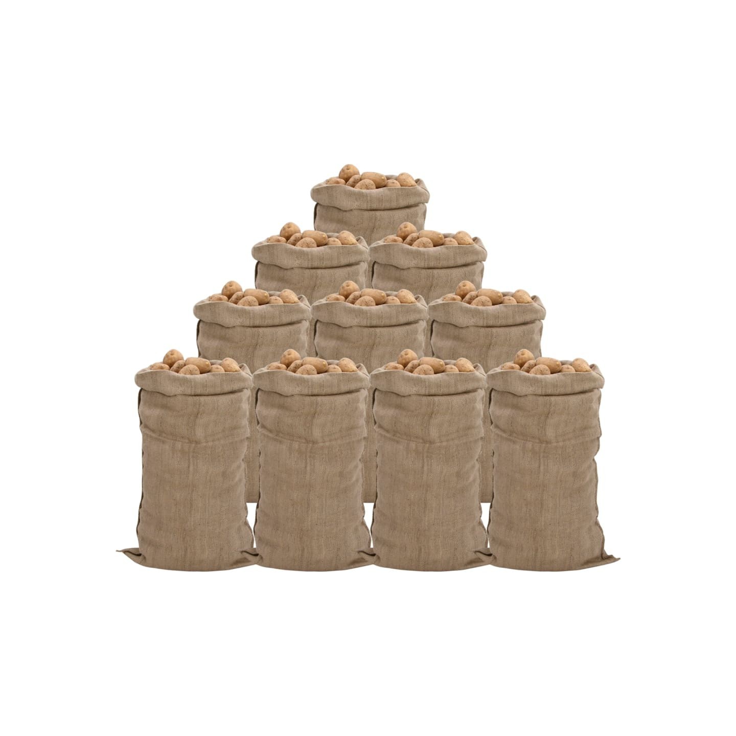 Sacs en jute 10 pièces 65x135 cm 100 % jute 340 g/m²