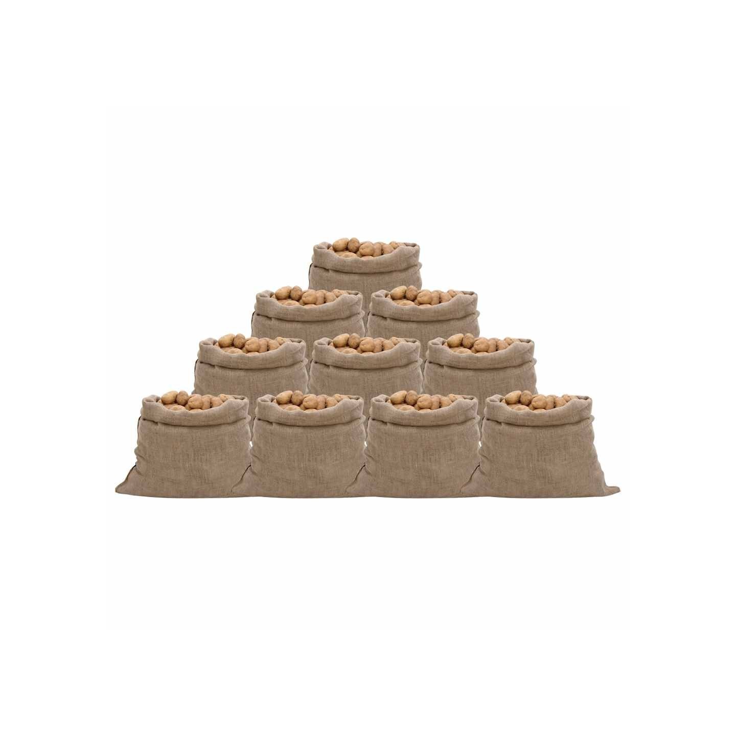 Sacs en jute 10 pcs 100x110 cm 100 % jute 220 g/m²