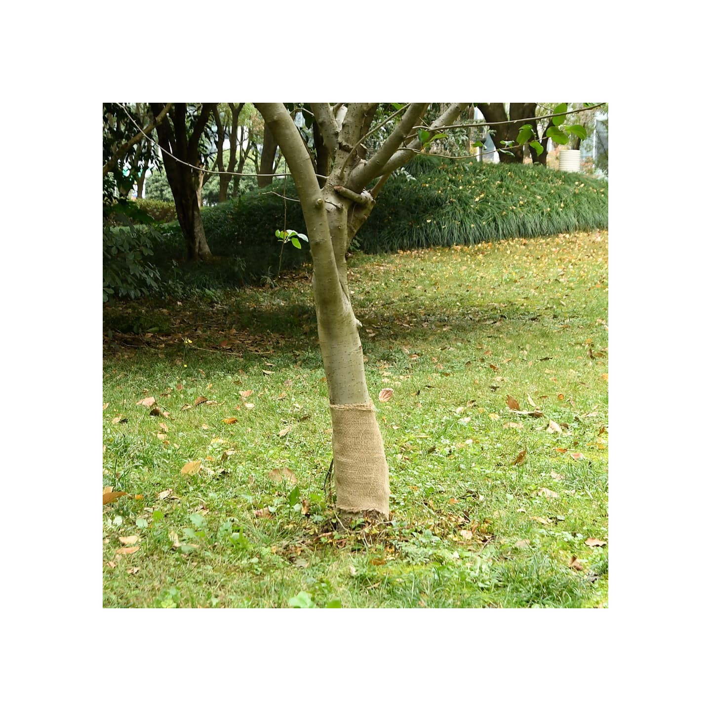 Filet de jute de jardin 25 cm x 10 m 180 gsm 100% Jute Naturel
