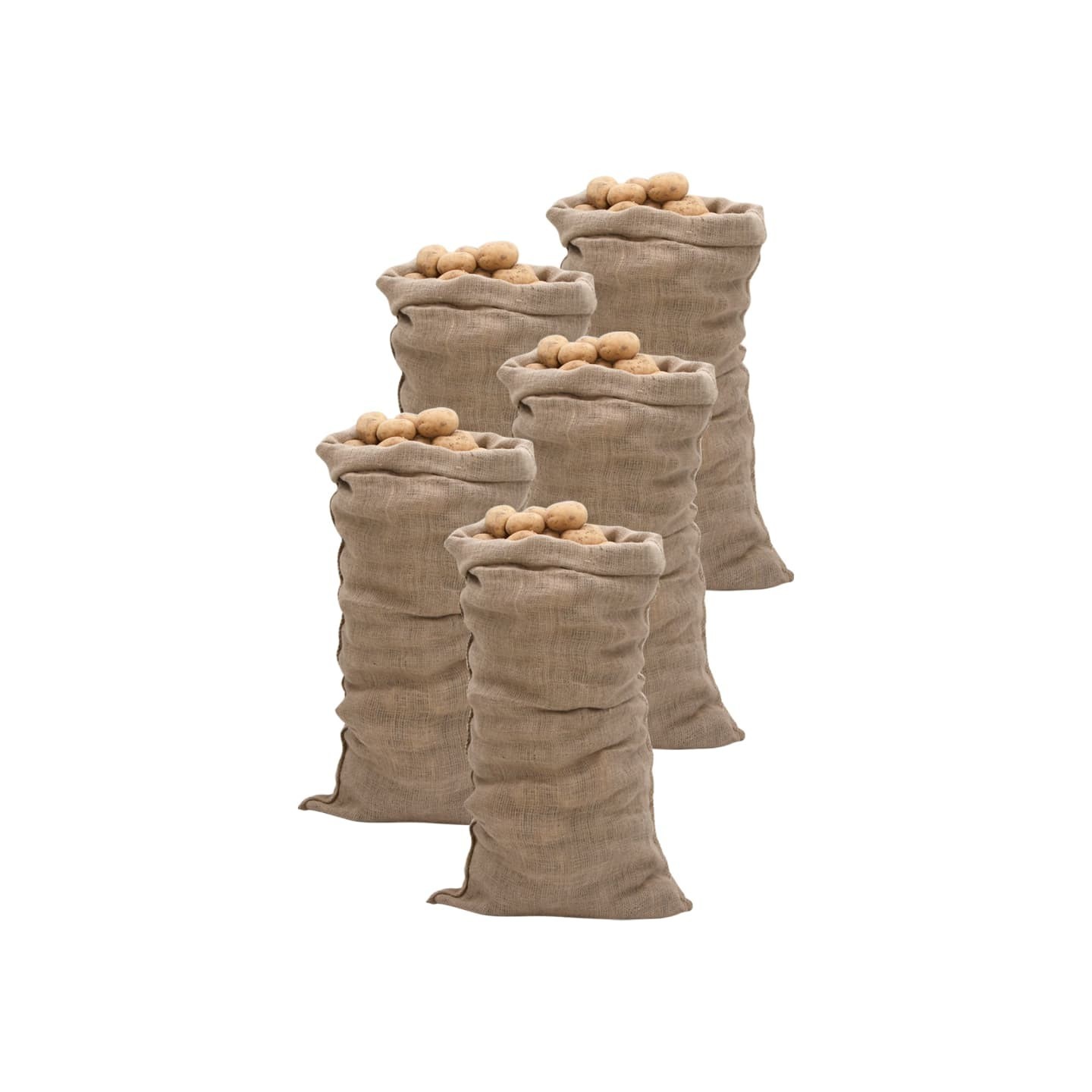 Sacs en jute 5 pcs 65x135 cm 100 % jute 220 g/m²