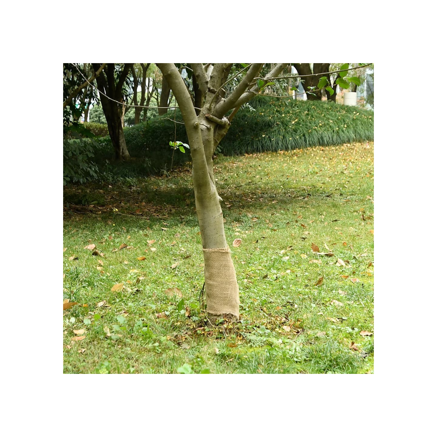 Jute Roll 25 cm x 5 m 180 gsm 100% natural jute Naturel