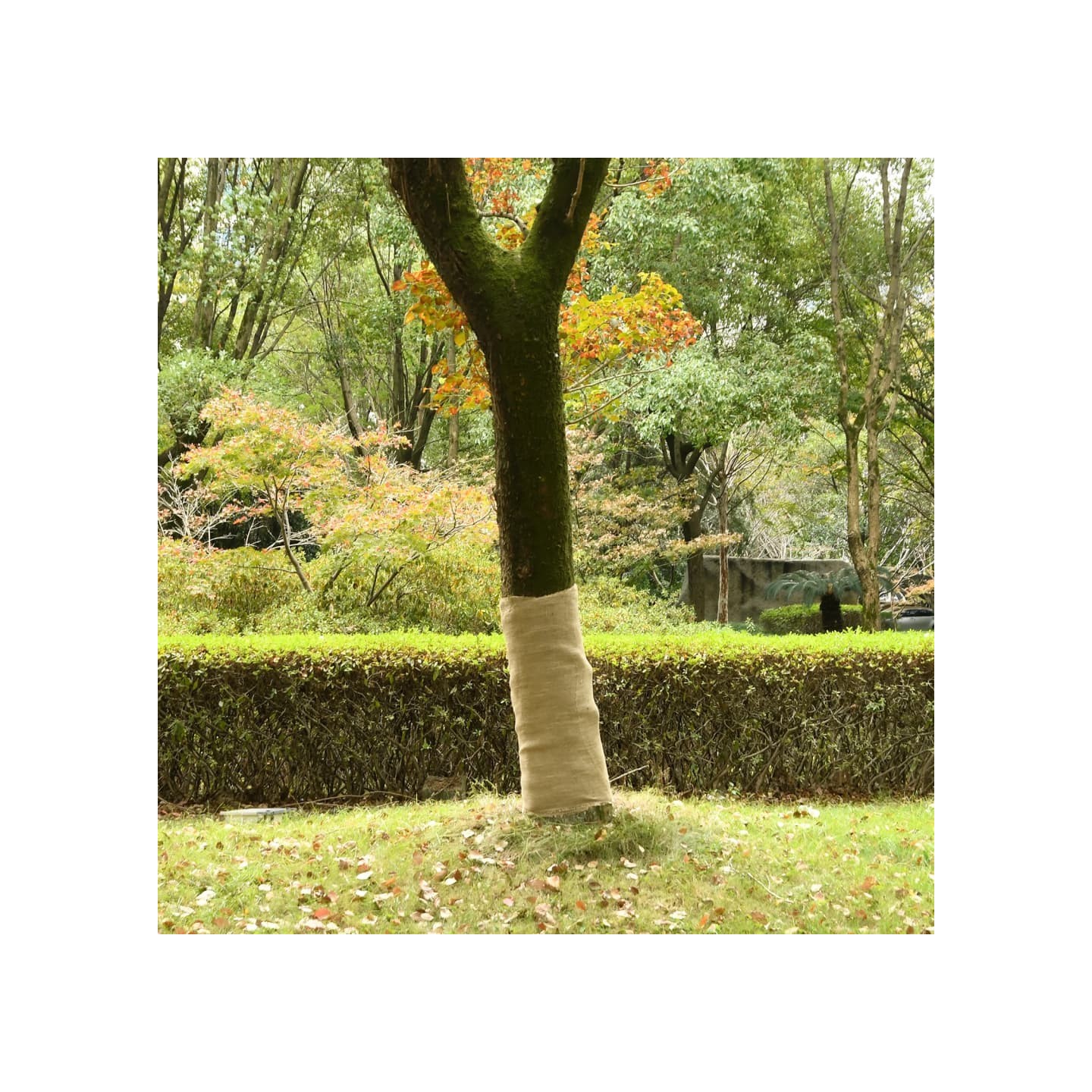 Jute Roll 100 cm x 15 m 180 gsm 100% natural jute Naturel