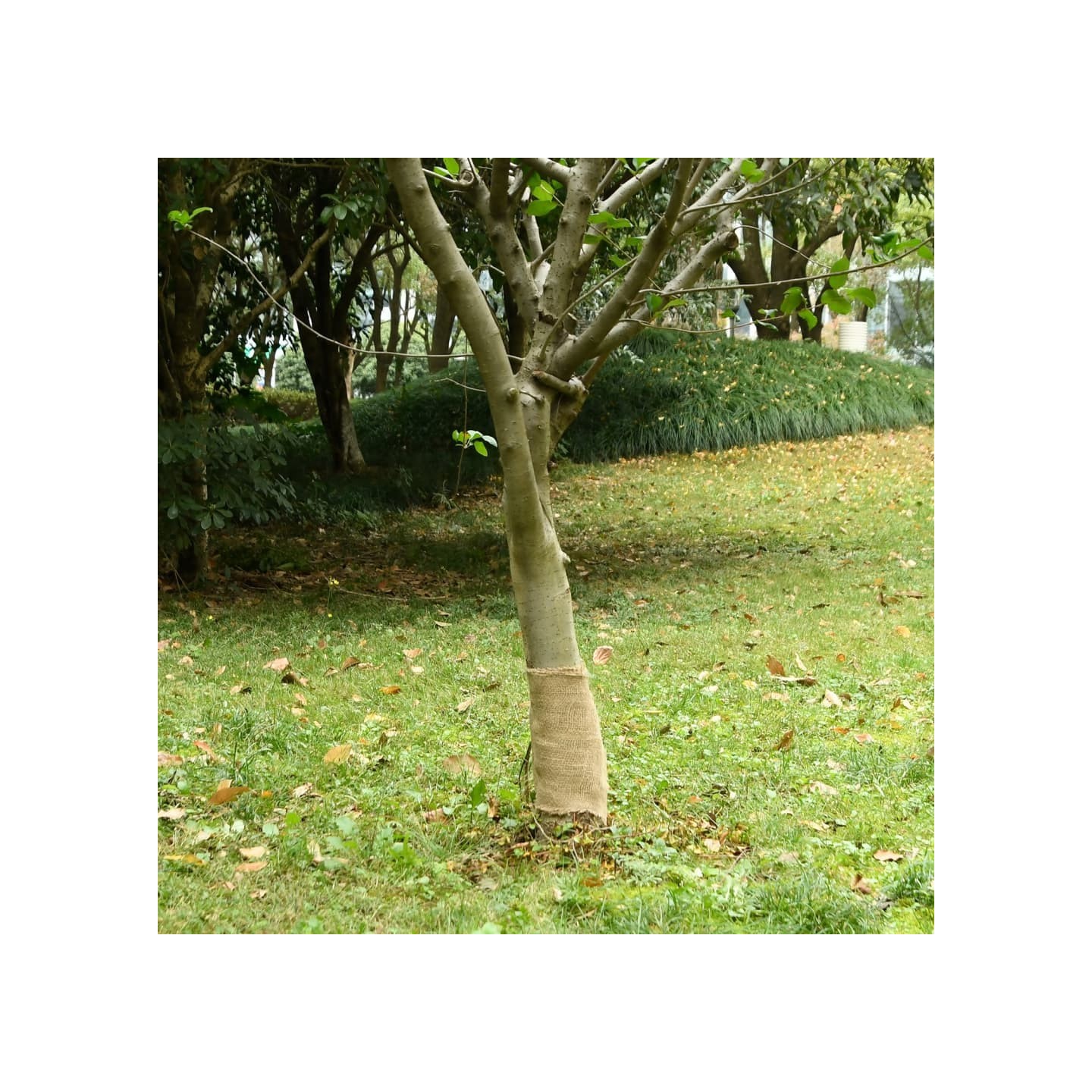 Filet de jute de jardin 25 cm x 100 m 180 gsm 100% natural jute