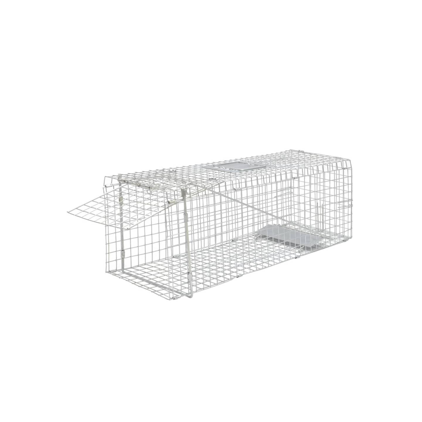 Piège à vie galvanisé 80 cm