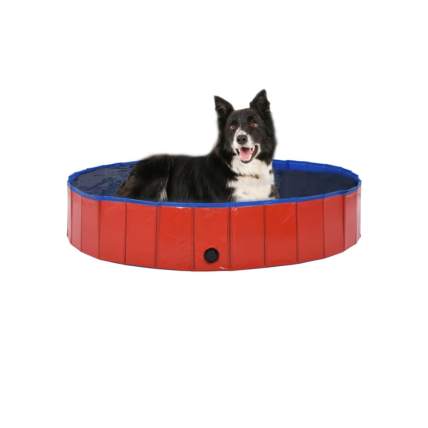 Piscine pliable pour chiens Rouge 160x30 cm PVC