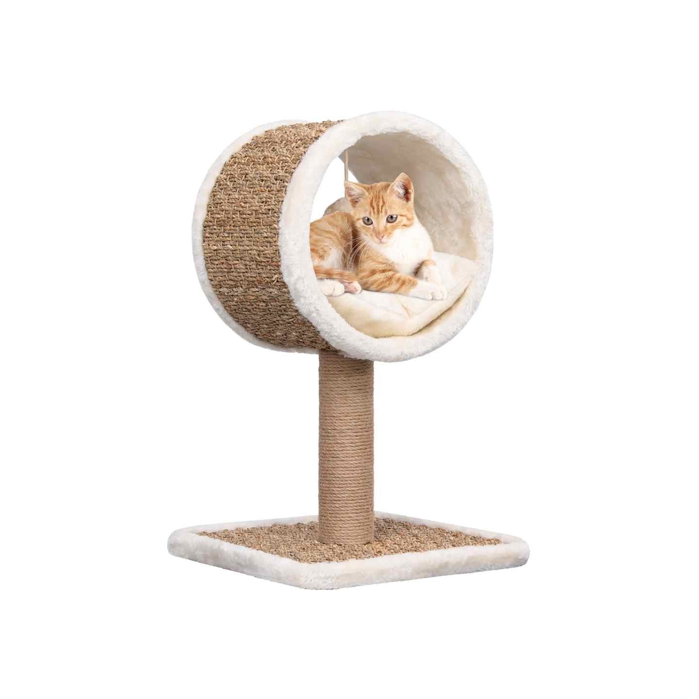 Arbre à chat et tunnel supérieur et jouet 56 cm Herbiers marins