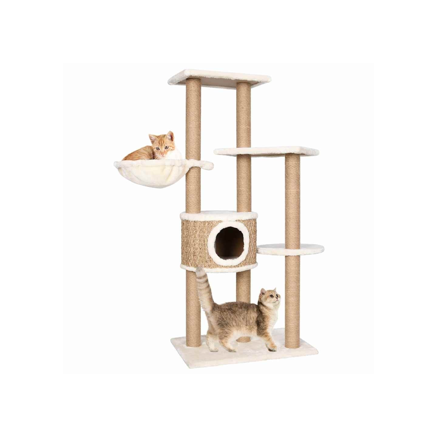 Arbre à chat avec griffoirs 126 cm Herbiers marins