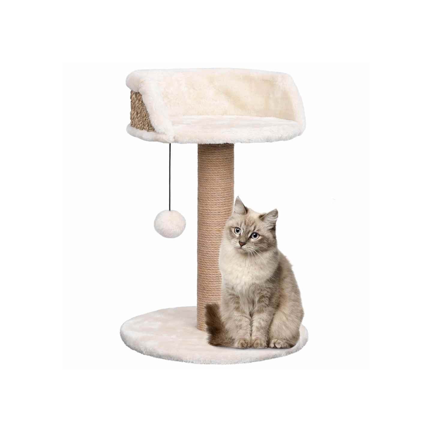 Arbre à chat avec griffoirs 49 cm Herbiers marins