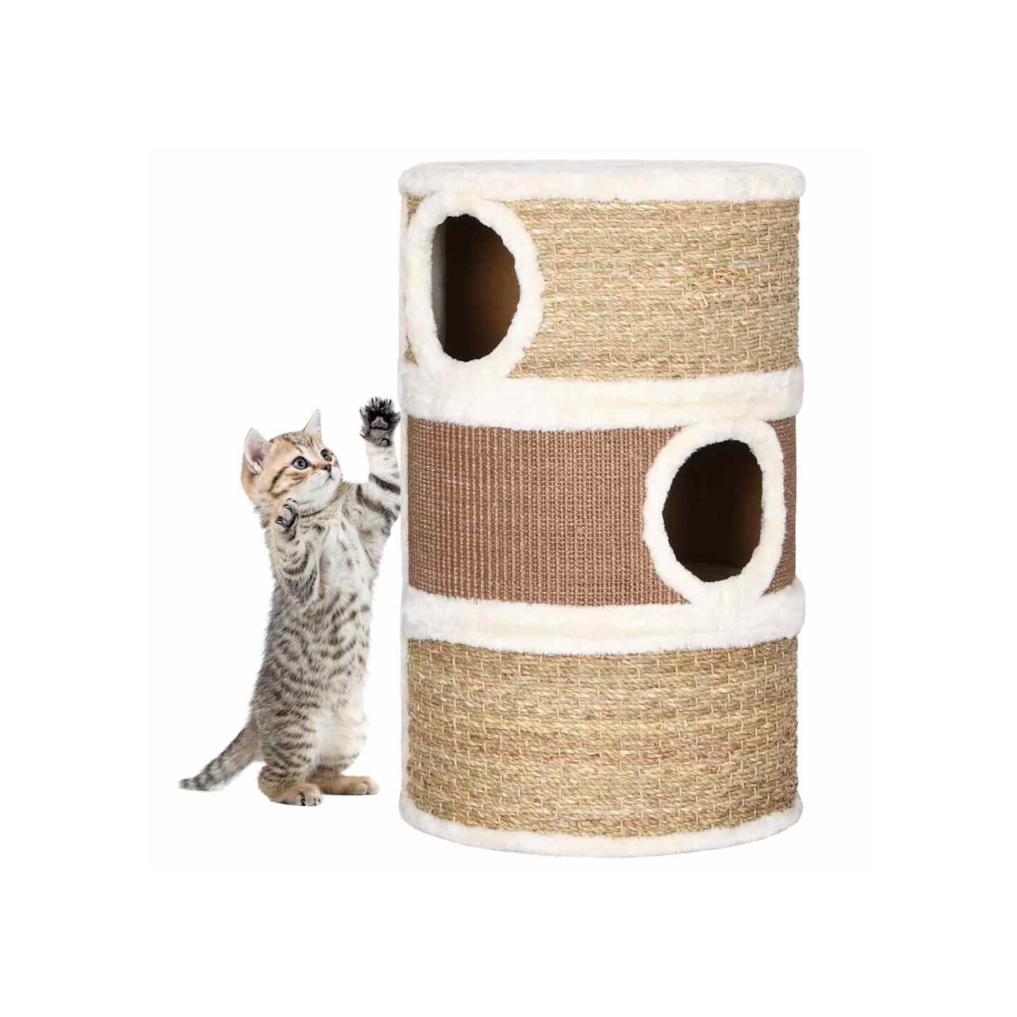 Tonneau à gratter pour chats 60 cm Herbiers marins