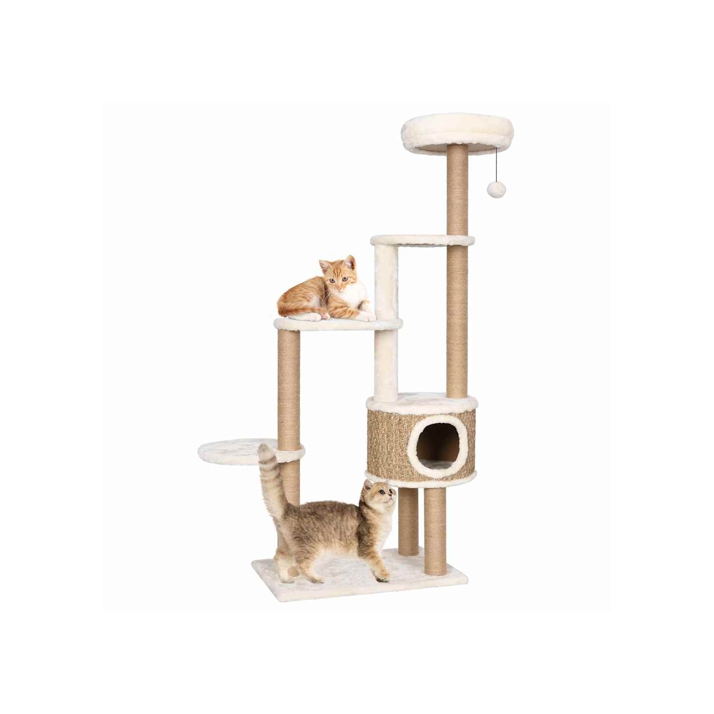 Arbre à chat coussin de luxe et grattoir 148 cm Herbiers marins