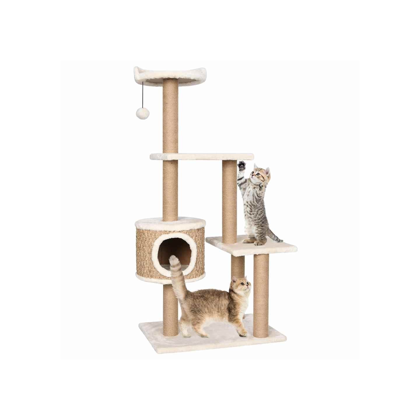 Arbre à chat avec griffoirs 123 cm Herbiers marins