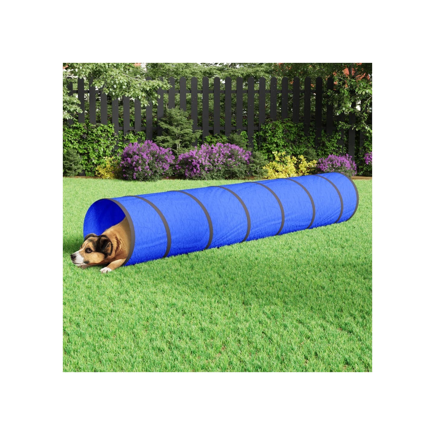 Tunnel pour chien bleu Ø 50x300 cm polyester