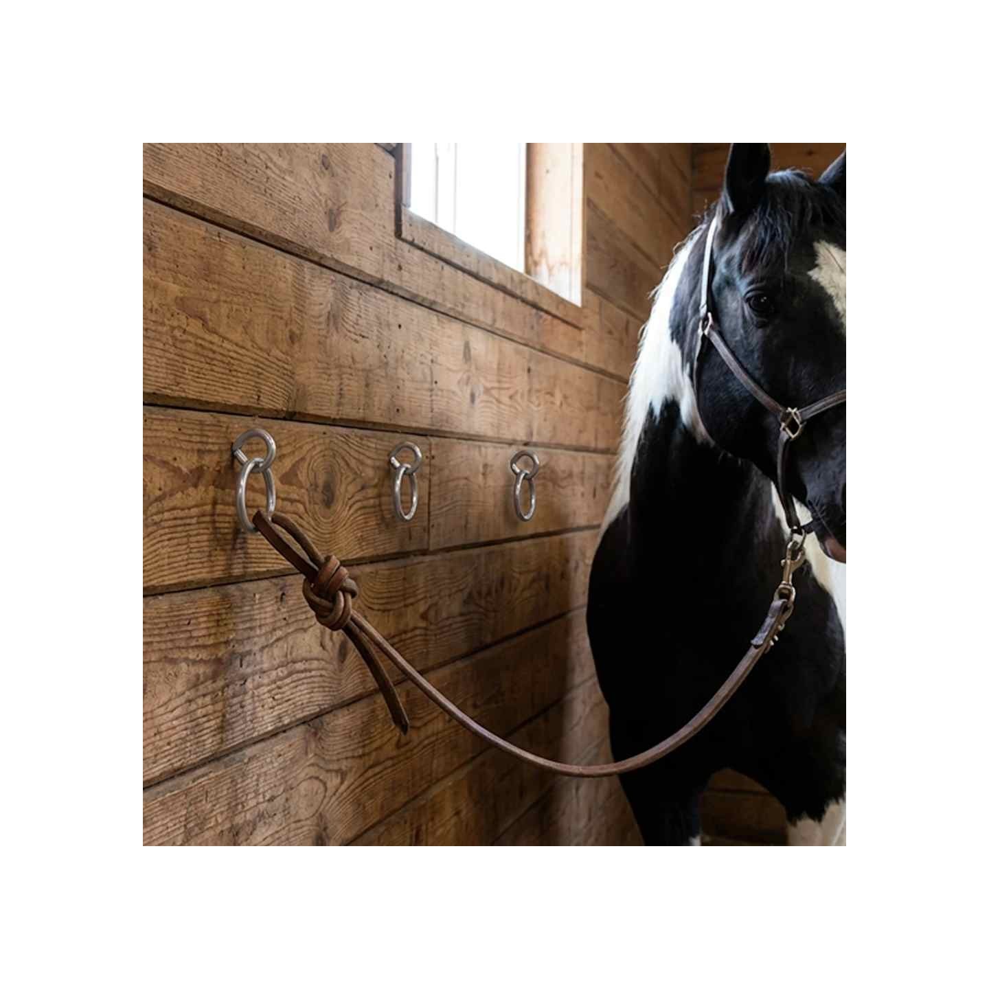 Anneaux d'attache pour chevaux avec vis à œil 3 pcs argenté acier