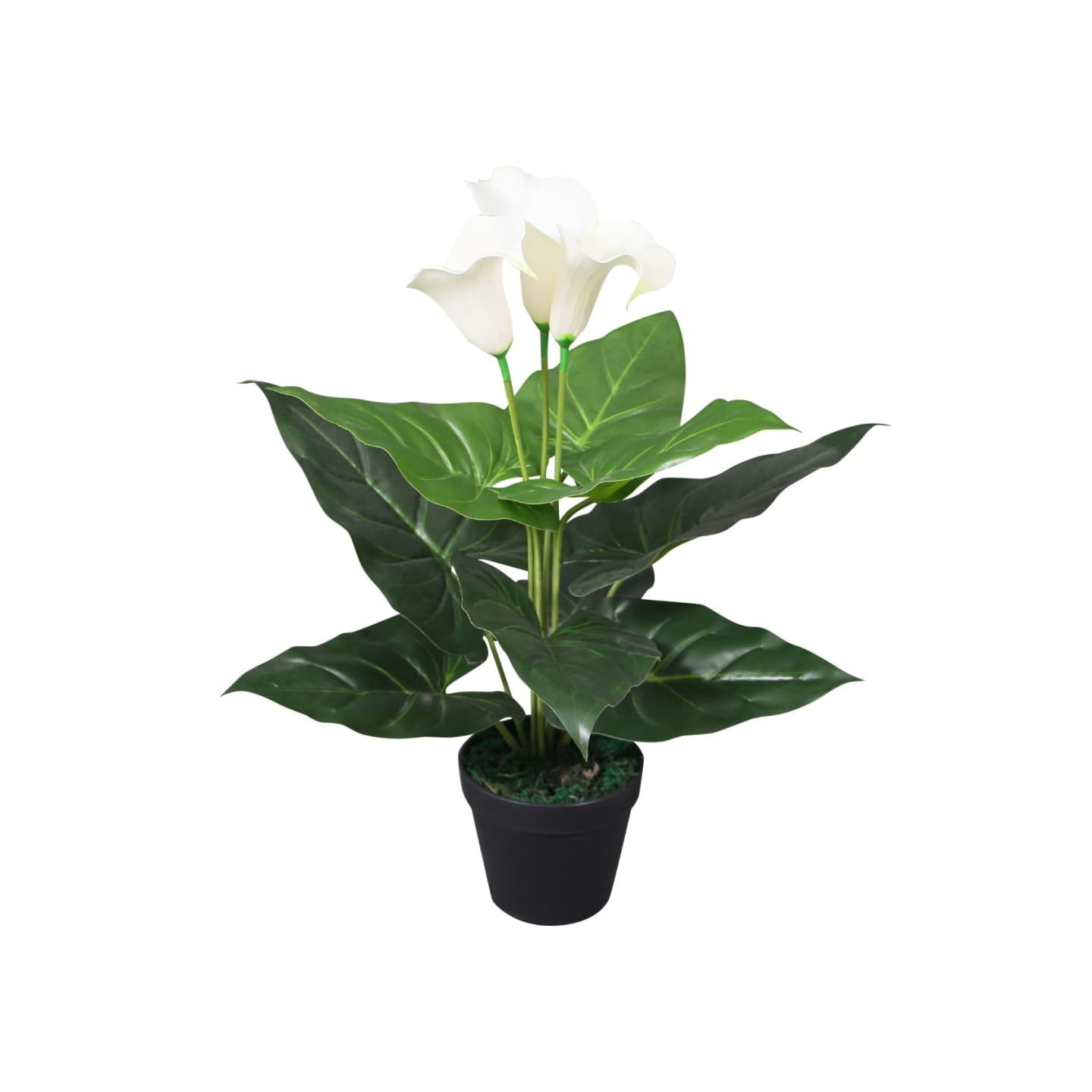 Plante artificielle avec pot Lis Calla 45 cm Blanc