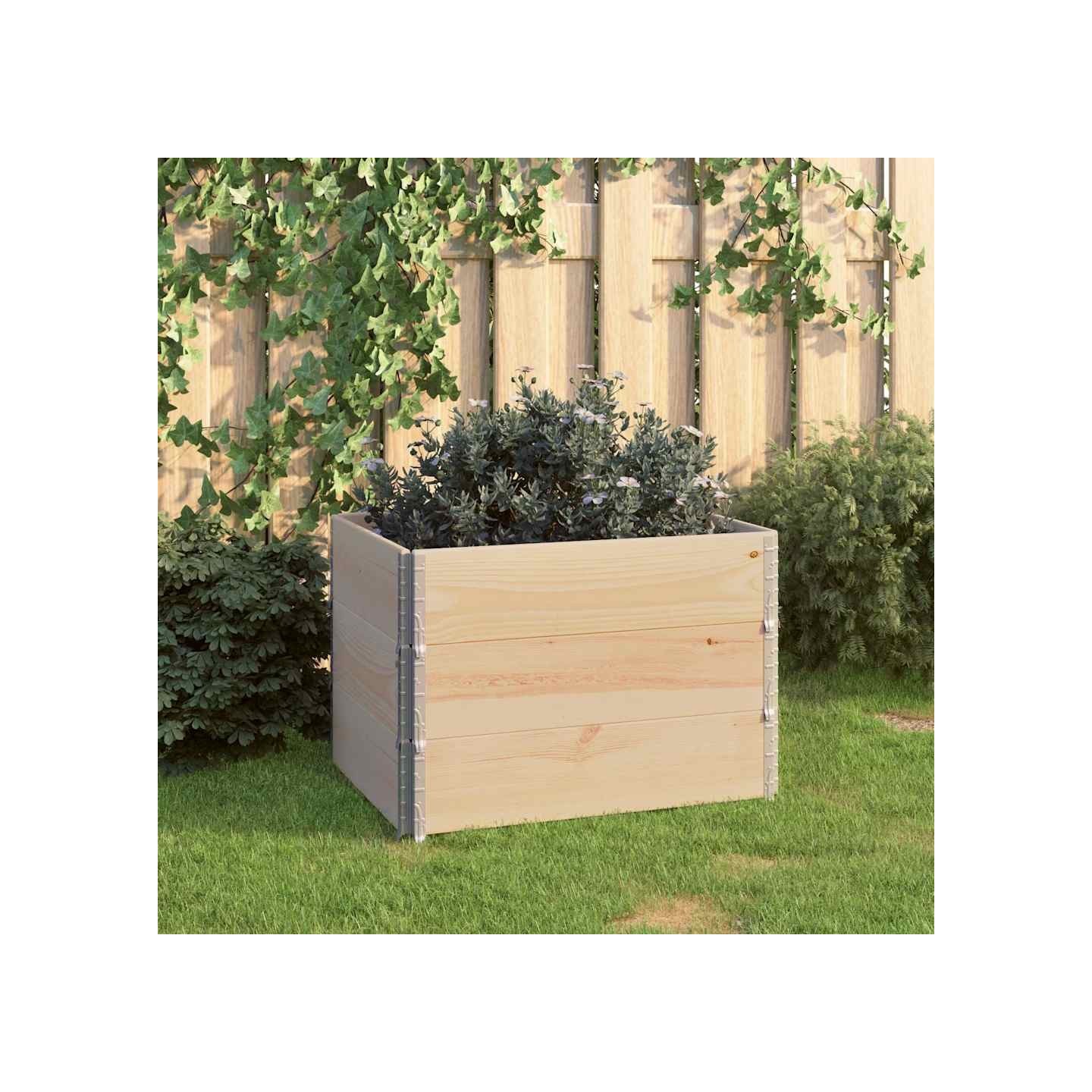 Jardinières surélevées 3 pcs 60x80 cm Bois de pin solide
