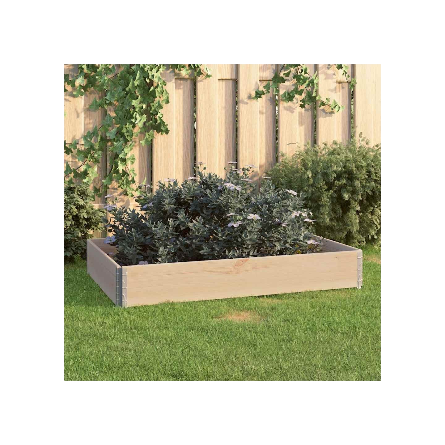 Jardinière surélevée 80x120 cm Bois de pin solide