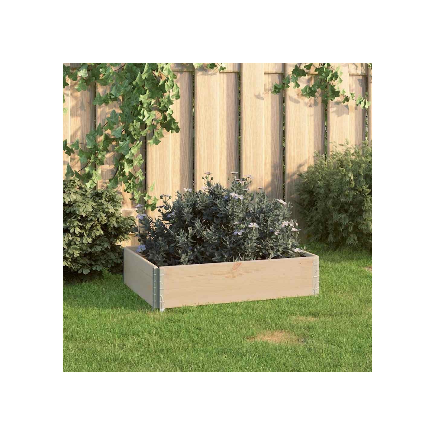 Jardinière surélevée 60x80 cm Bois de pin solide