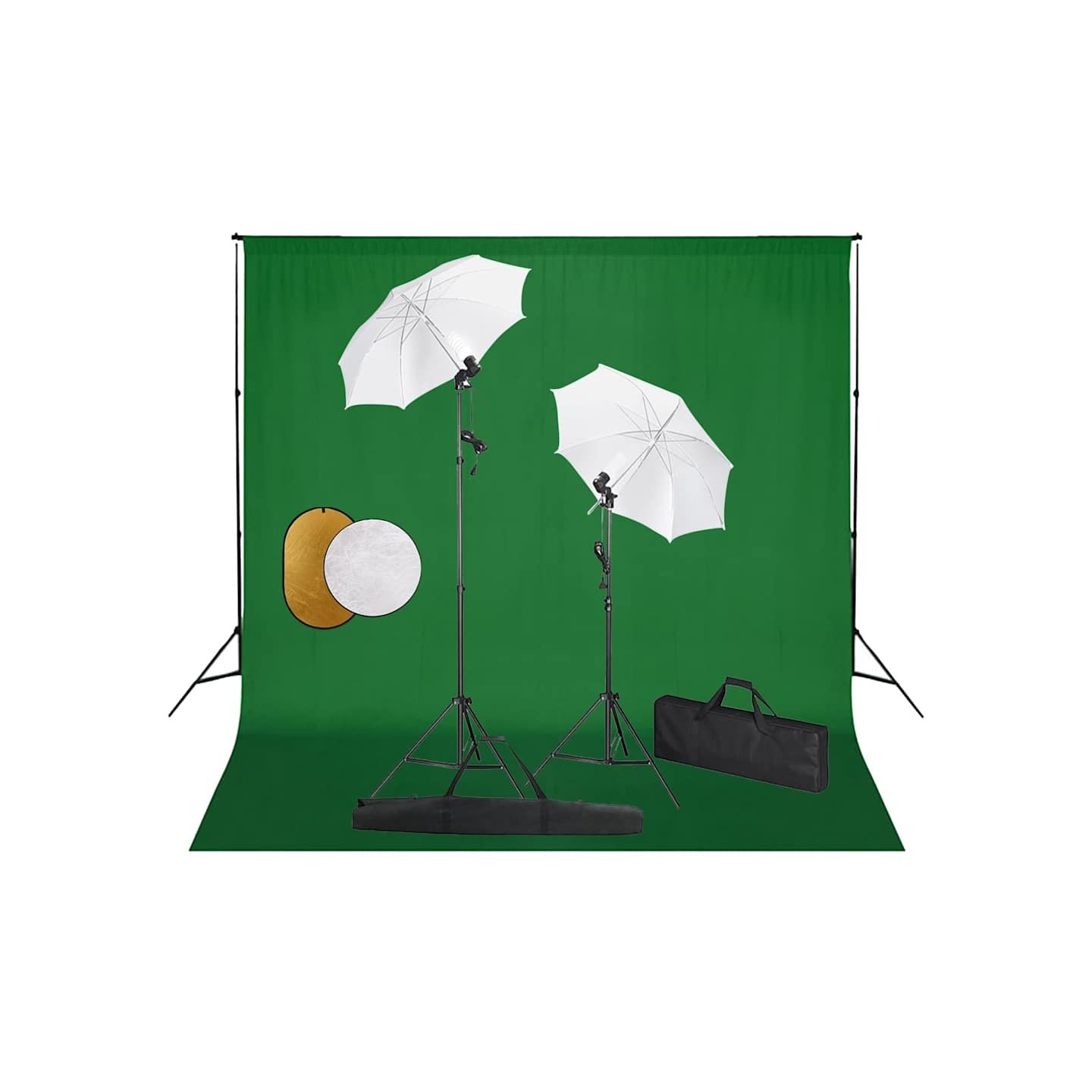 Kit de studio photo avec lampes toile de fond et réflecteur