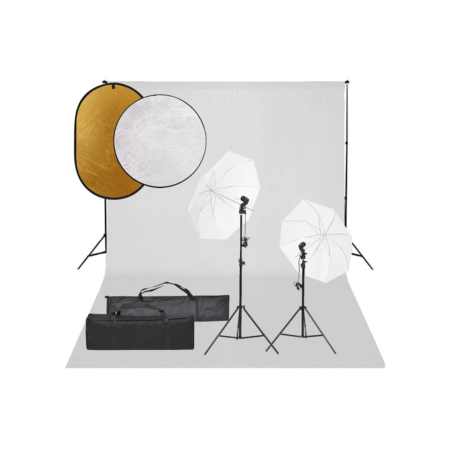 Kit de studio photo avec éclairage toile de fond et réflecteur